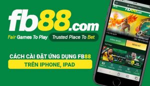 App cá cược bóng đá tại Fb88