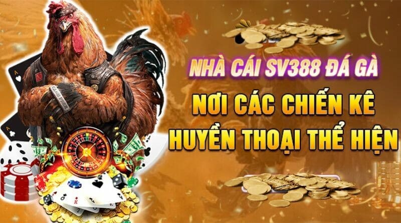 Một số hình thức đá gà có tại SV388